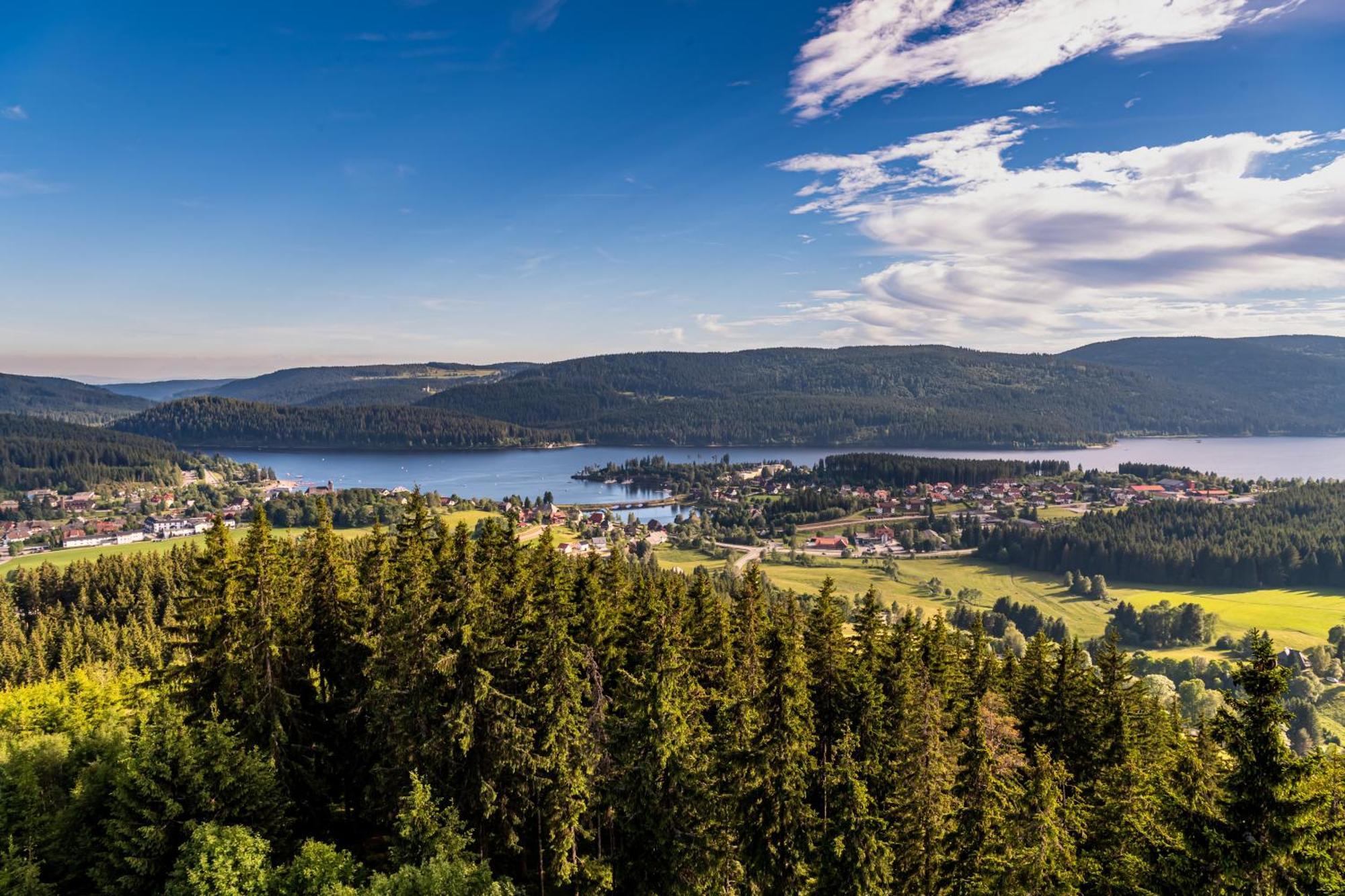 Apartment 13 - Ferienresidenz Roseneck, Mit Schwimmbad In Todtnauberg Bei Feldberg Екстер'єр фото
