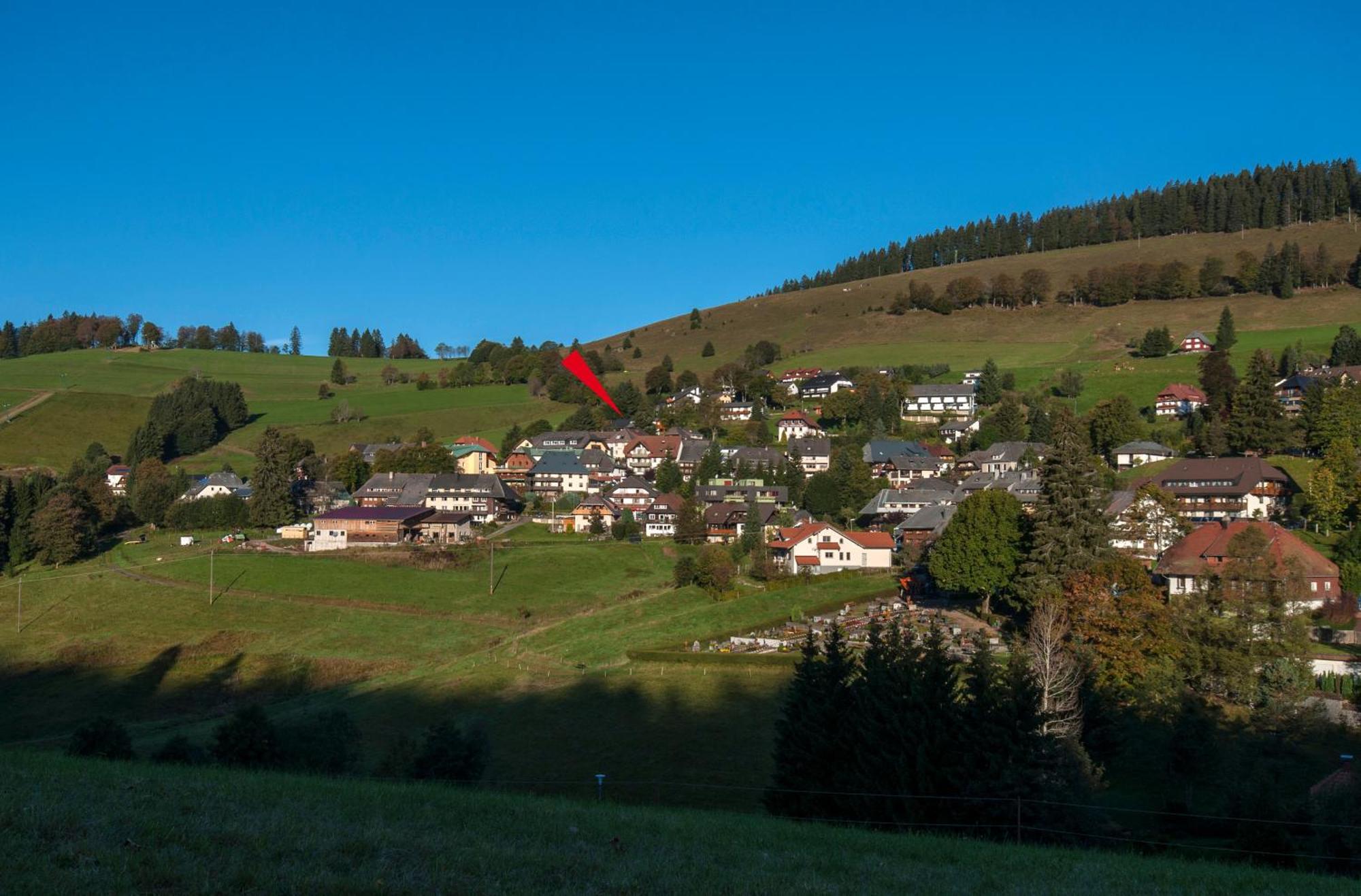 Apartment 13 - Ferienresidenz Roseneck, Mit Schwimmbad In Todtnauberg Bei Feldberg Екстер'єр фото